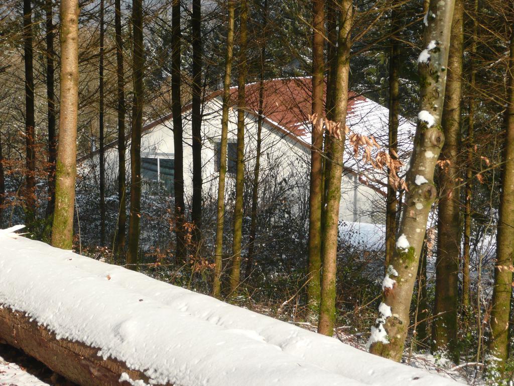Au Palton Acomodação com café da manhã Raon-aux-Bois Exterior foto